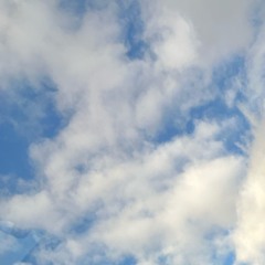 Traybreezo! - No More!