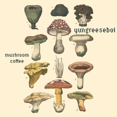 Mushroom Coffee