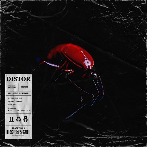 Toutant x Synphic - is this bird dead