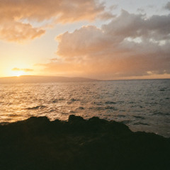 Spring Altar | Downtempo Electronic