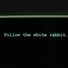 Down The Rabbit Hole