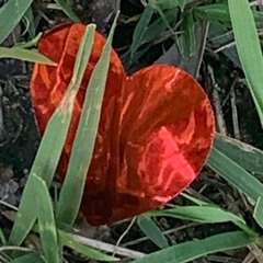 무이야드(mooee Yard) - 베갯잇을 적실 때_demo