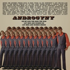 Androgyny (Devo cover)