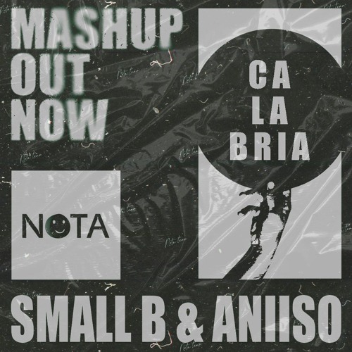 CALABRIA - SMALLB X ANIISO | NOTA TEAM