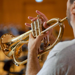 Thème Flugelhorn