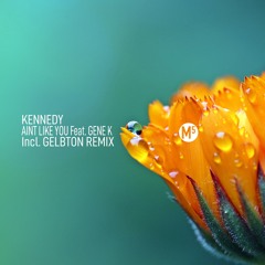 Aint Like You (Gelbton Remix) [feat. Gene K]