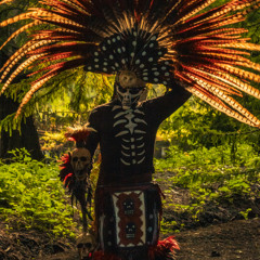 Jungle Fever … part 4