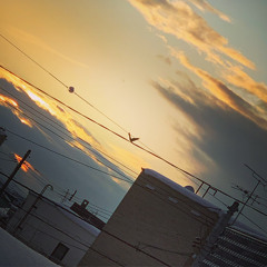 Fly Day Night ! / Baby Joint