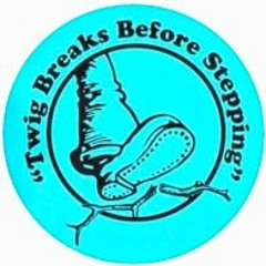 Twig Breaks Before Stepping - Pt. 2 / LIVE MARCH 14 2021 @ Flow Collective