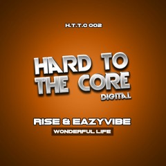 Rise & Eazyvibe - Wonderful Life (sample)