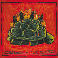 drove our car straight off of monte sano, oh well