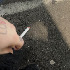 black sheep freestyle