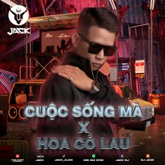 NST Cuộc Sống Mà X Hoa Cỏ Lau - DJ Jack