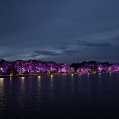 Full nhạc lọt 2025 - Cứng người
