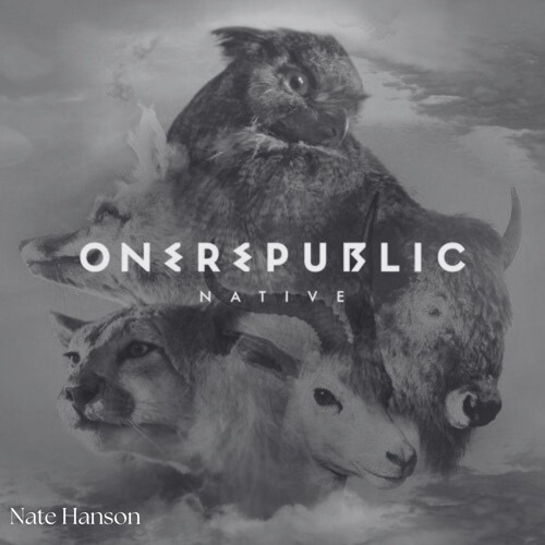 COUNTING STARS DUB (NATE HANSON)