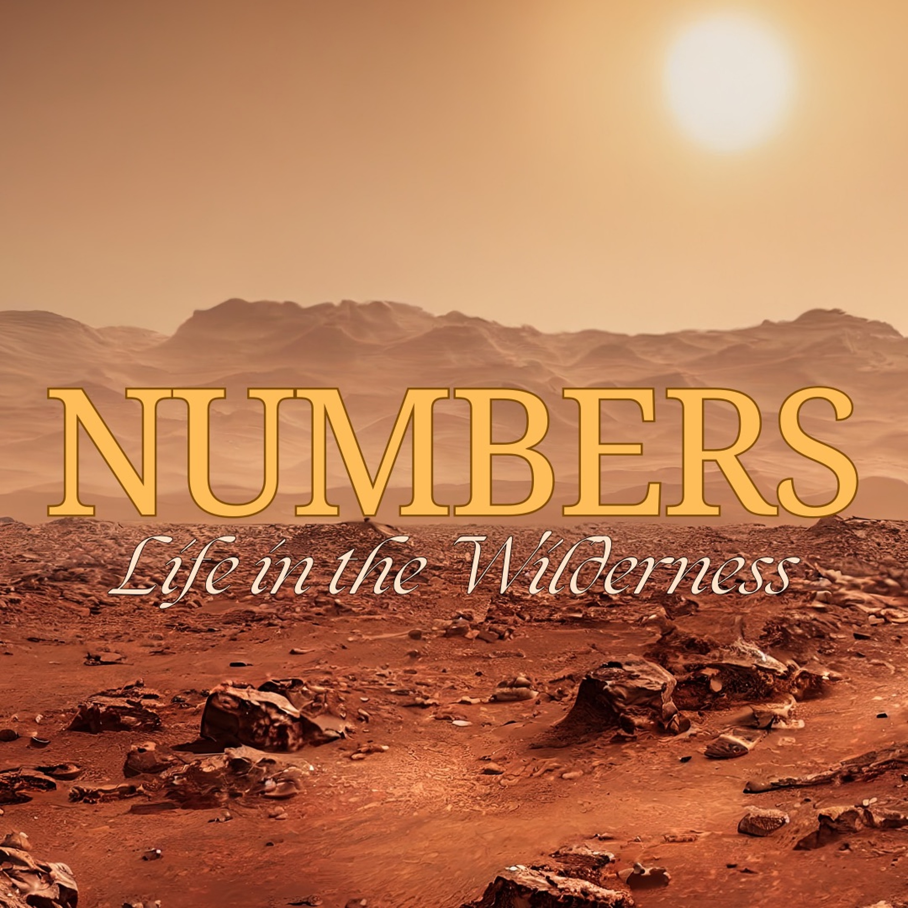 "Wholly to the Lord (Numbers 6)", Will DuVal | 2/9/25 episode artwork