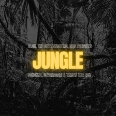Alok, The Chainsmokers, Mae Stephens - Jungle (Scndhnd, DEVANAGARI & THRSW Ukg Edit)