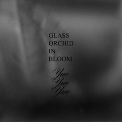 GLASS ORCHID IN BLOOM for NIHL 2021 SS NYFW