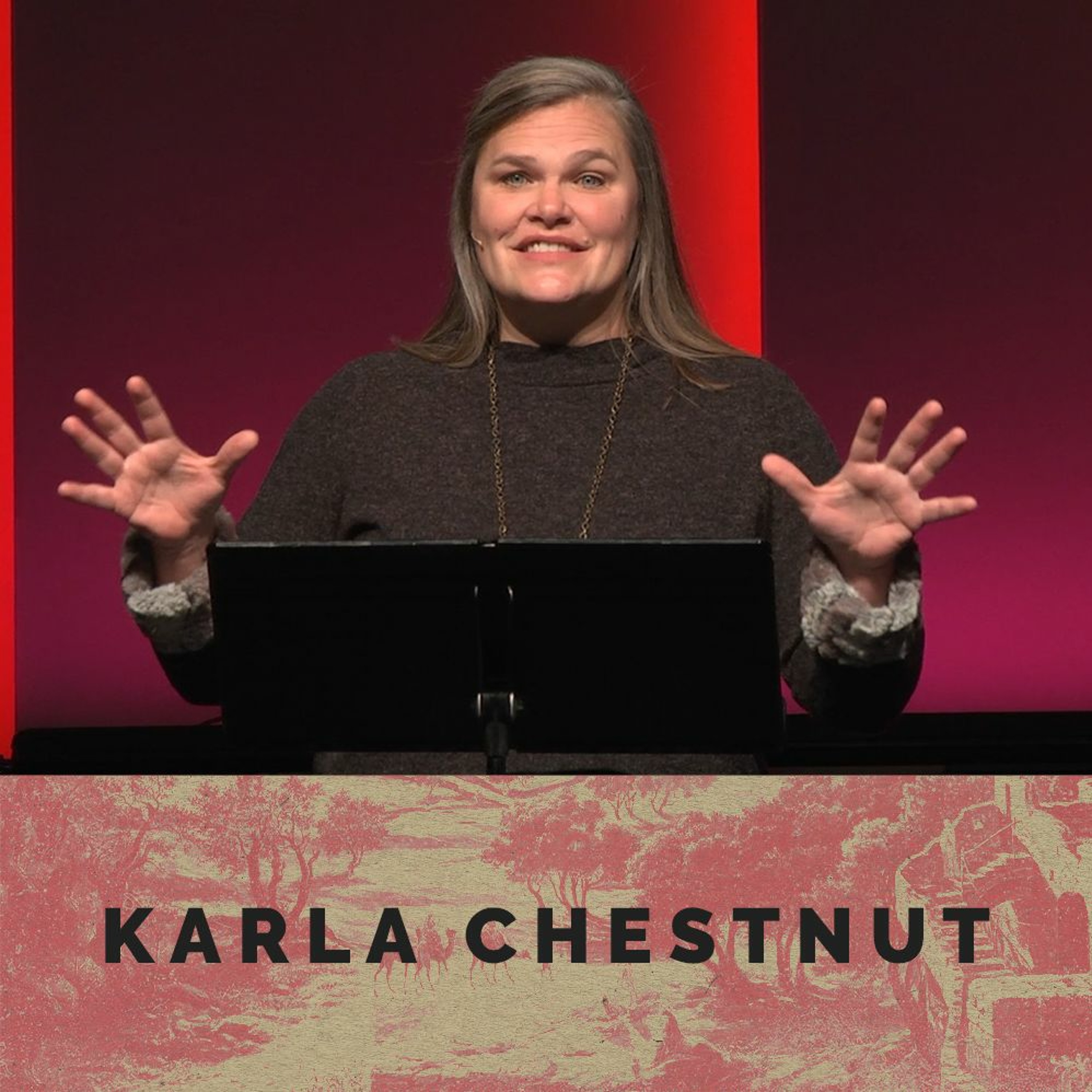 The Wisdom Within: From Deep Darkness Comes New Light - Karla Chestnut