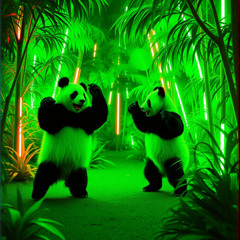 Panda Frenzy