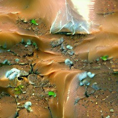 Return to the Flight Path