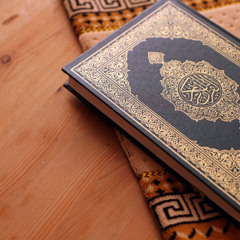 سورة المزمل(الشيخ محمد اسكندر)