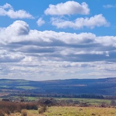 Nothing In Particular