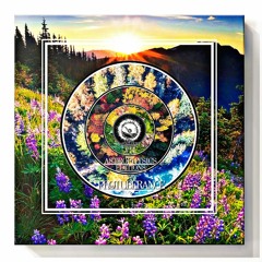 SPACE VIEWX [Astrophysics Editions] [#11] Protuberance [Bulgaria, Dub Techno]
