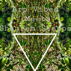Waves of telepathy -Shaurem steppa meets Arp Vibes.wav