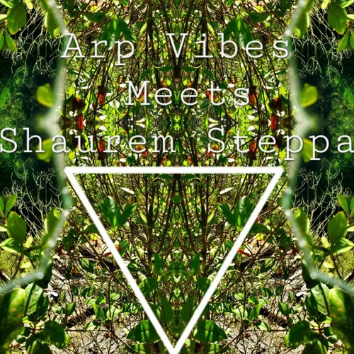 Waves of telepathy -Shaurem steppa meets Arp Vibes.wav