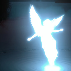 COME FLY WITH ME