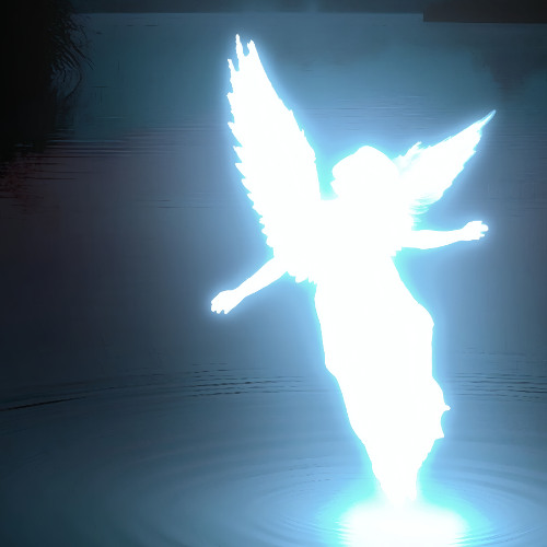 COME FLY WITH ME