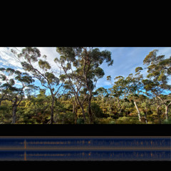 2025.04.10 From First Light. Wilderness Protection Area. Kangaroo Island.