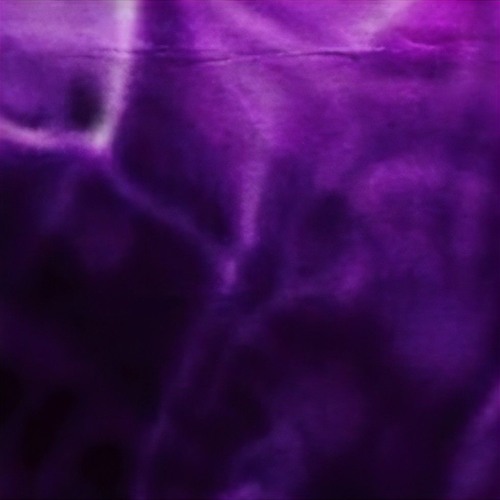 any1@all [lyko] SnAKenon x BD kidd