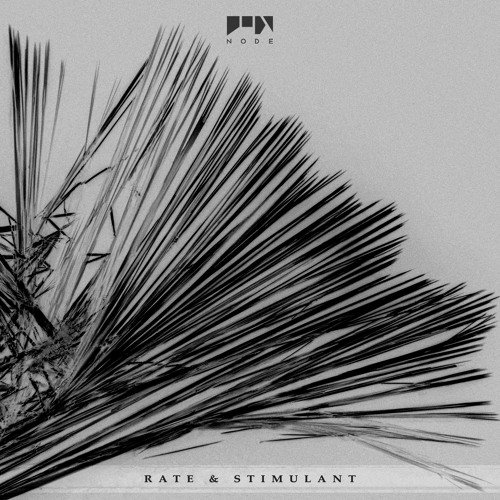 Premeire: Vertical Spectrum "Fuzoria" NODE Recordings