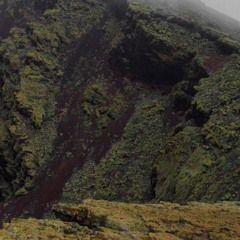 Notzing - EP, LP & Tracks Released