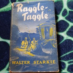 Doctor Explicator - The Raggle Taggle Gypsies