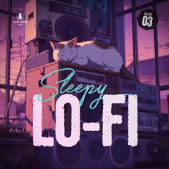 Black Octopus Sound - Sleepy Lo-FI Vol 3