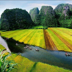 Review Top Ninh Binh Day Trips- from Hanoi
