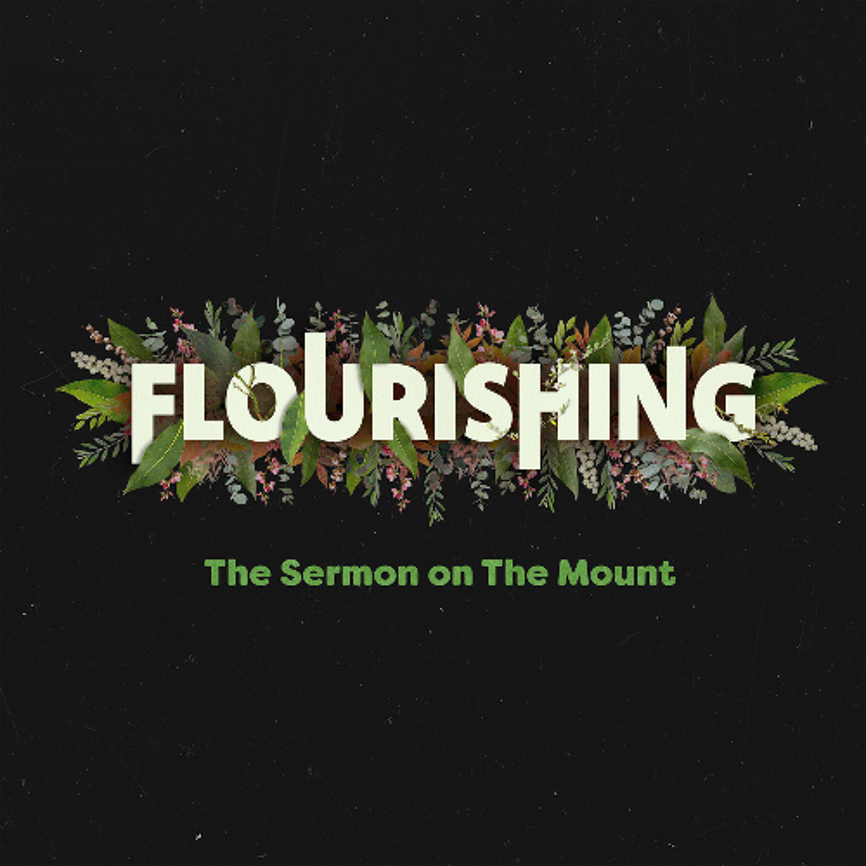 Flourishing Through Integrity | FLOURISHING | Andrew Wilson | Matthew 5