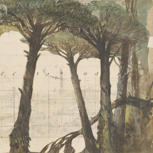 Tree Weeping (Lacrima)