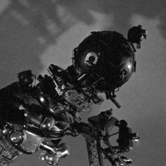 Wither into Oblivion