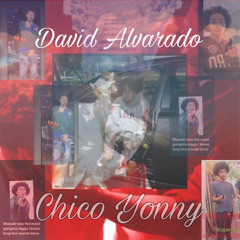 David Alvarado
