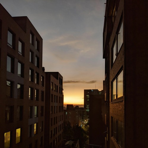 Bogotá dawn chorus (20240313-17 - 0500, mixed)