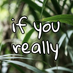 If You Really