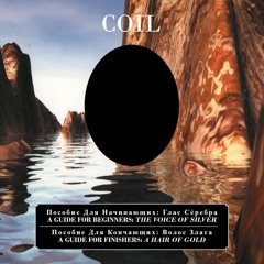 COIL Ostia (The Death Of Pasolini)