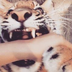 d3l (blickyhomeboy n always)