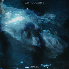 Say Goodbye