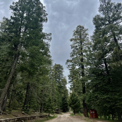 English Avenue (improv)