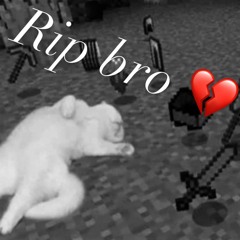 fulltimetrapper (444jet)